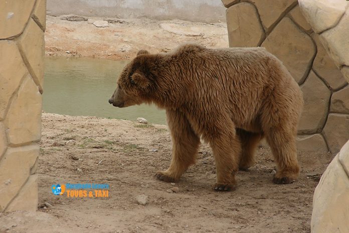 حديقة حيوانات الإسكندرية اهم المزارات الترفيه والفسح في مصر. معلومات عن جنينة حيوانات النزهة