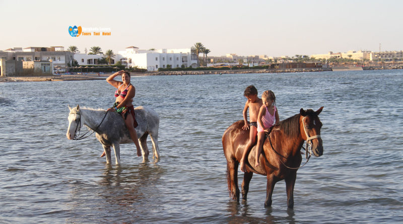 Wassertemperatur in Hurghada | Klima im September, Oktober, Mai, Juni, März